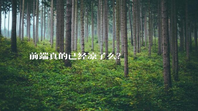 前端真的已经凉了么？