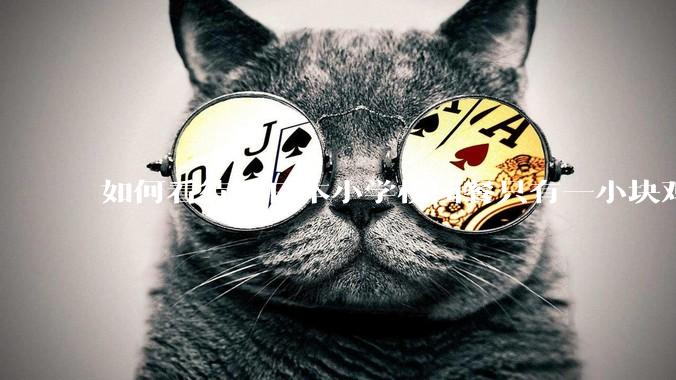 如何看待某日本小学校园餐只有一小块鸡肉？