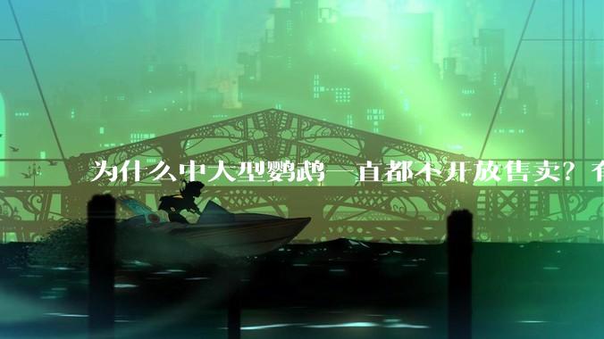 为什么中大型鹦鹉一直都不开放售卖？有哪些原因呢?