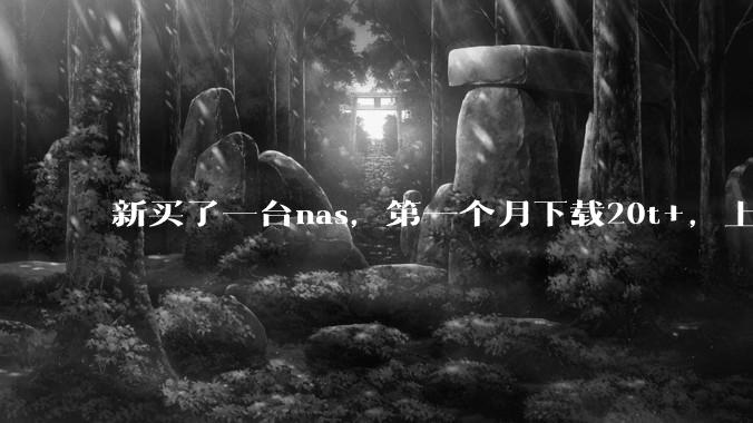 新买了一台nas，第一个月下载20t+，上传5+，不会被网警盯上吧?