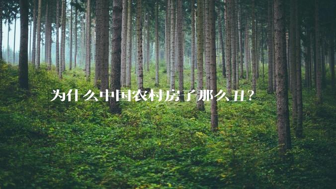 为什么中国农村房子那么丑？