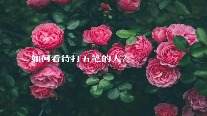如何看待打五笔的人？
