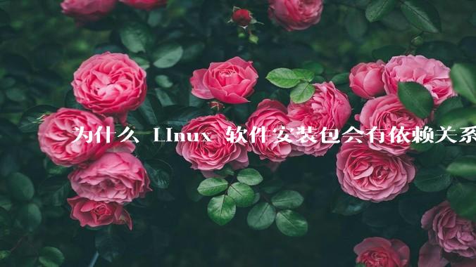 为什么 Linux 软件安装包会有依赖关系，而 Windows 软件安装包不需要？