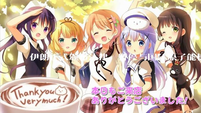 伊朗正式颁布法律，暂停与国际原子能机构合作，这意味着什么？