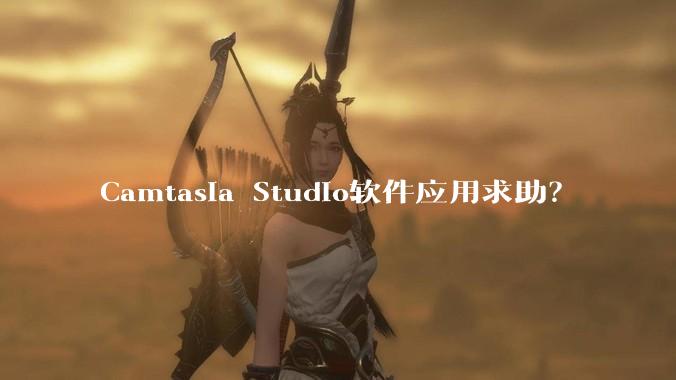 Camtasia Studio软件应用求助？