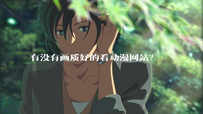 有没有画质好的看动漫网站？