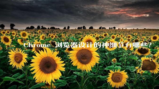 Chrome 浏览器设计的神细节有哪些？