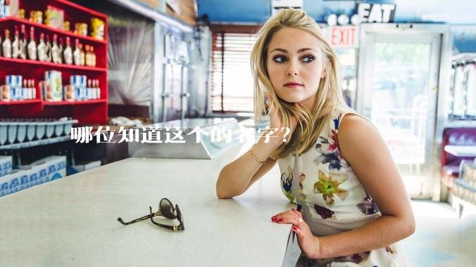 哪位知道这个的名字？