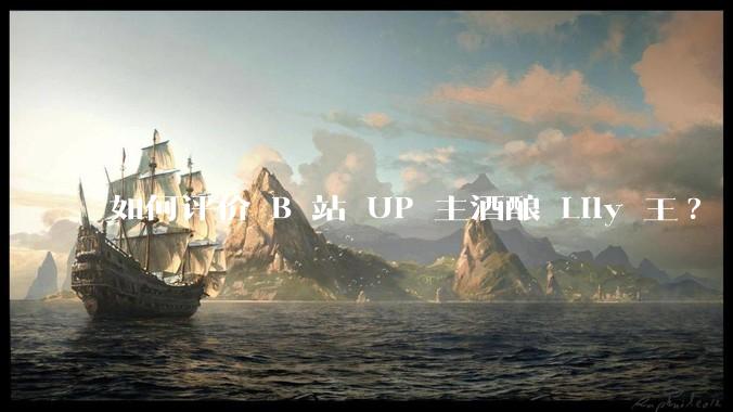 如何评价 B 站 UP 主酒酿 Lily 王?