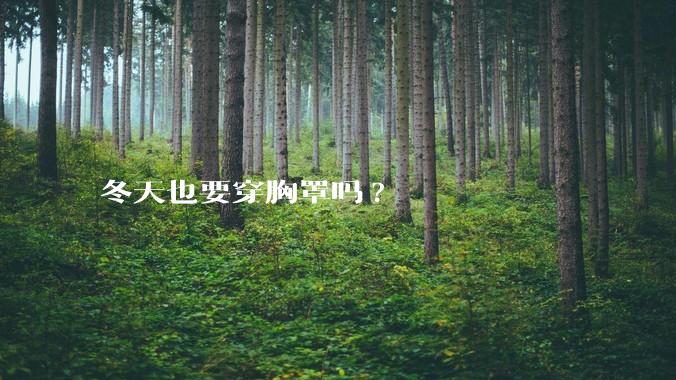 冬天也要穿胸罩吗?