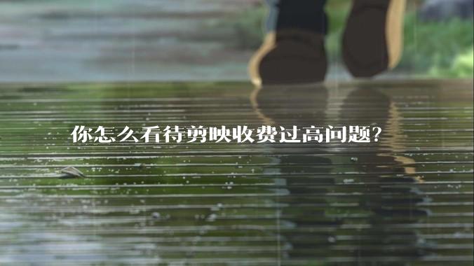 你怎么看待剪映收费过高问题？