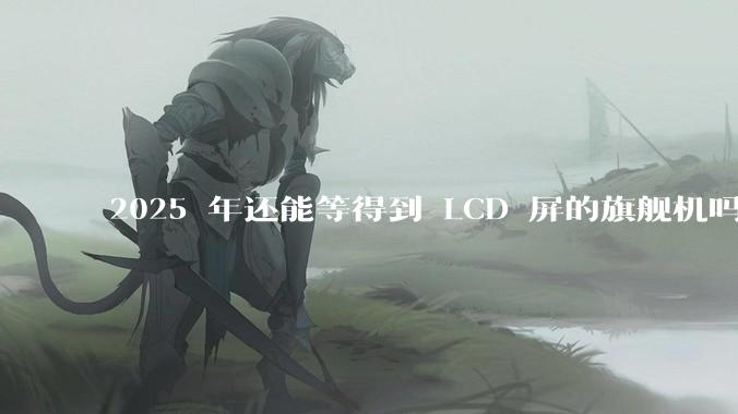 2025 年还能等得到 LCD 屏的旗舰机吗？