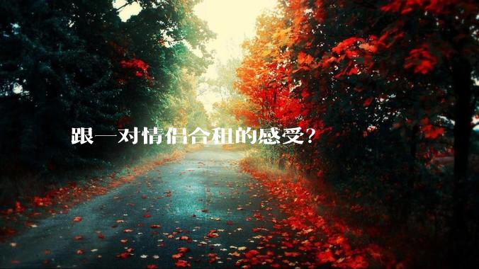 跟一对情侣合租的感受？